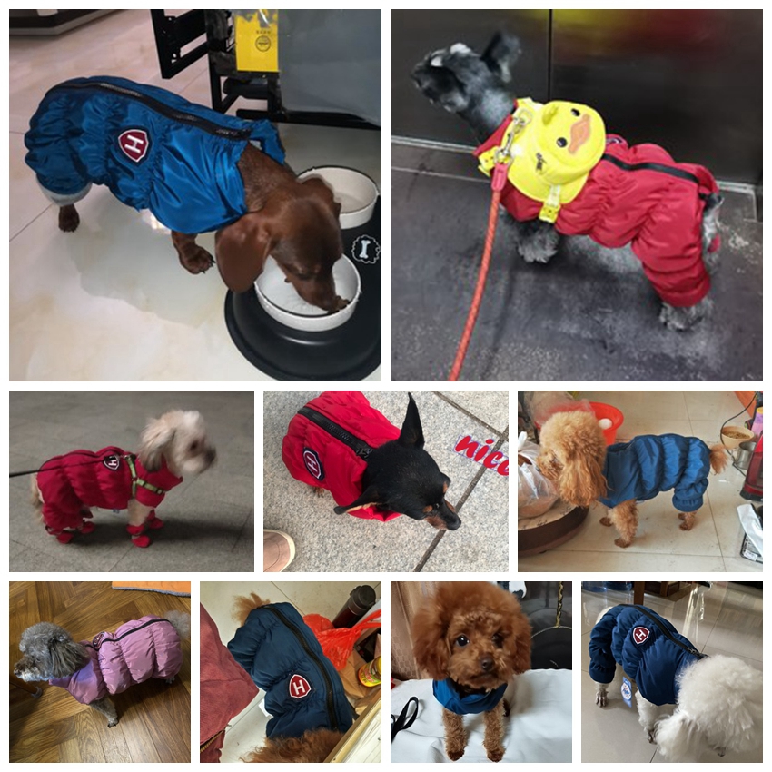 Dây Kéo Tuyết Unisex Chó Chống - đánh giá và giá Winter Clothing For Babies