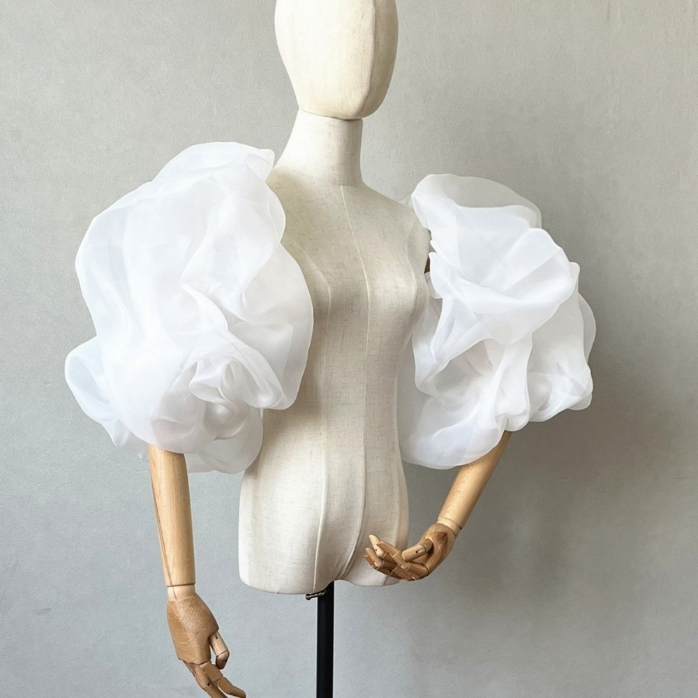Stylish Puffy Bridal Sleeves O - đánh giá và giá Winter Clothing Ladies